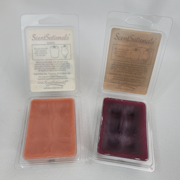 ScentSationals Bronze Lantern Full-Size Warmer And Limited Edition Wax Cubes - Picture 11 of 13